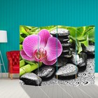 Ширма "Розовая орхидея на камнях ", 200 х 160 см - фото 298017709