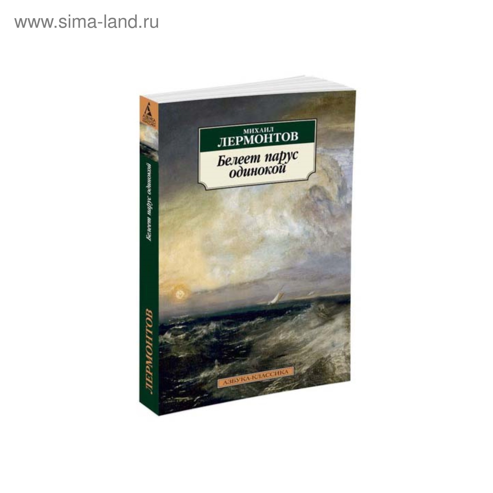 Белеет парус одинокий лермонтов средства выразительности. Белеет Парус одинокий Лермонтов. Парус Лермонтов полностью. Лермонтовский одиночка.