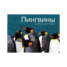 

Кирпичики мироздания. Образы, пробуждающие чувства. Пингвины. Важные и дружные. Парселл Л.