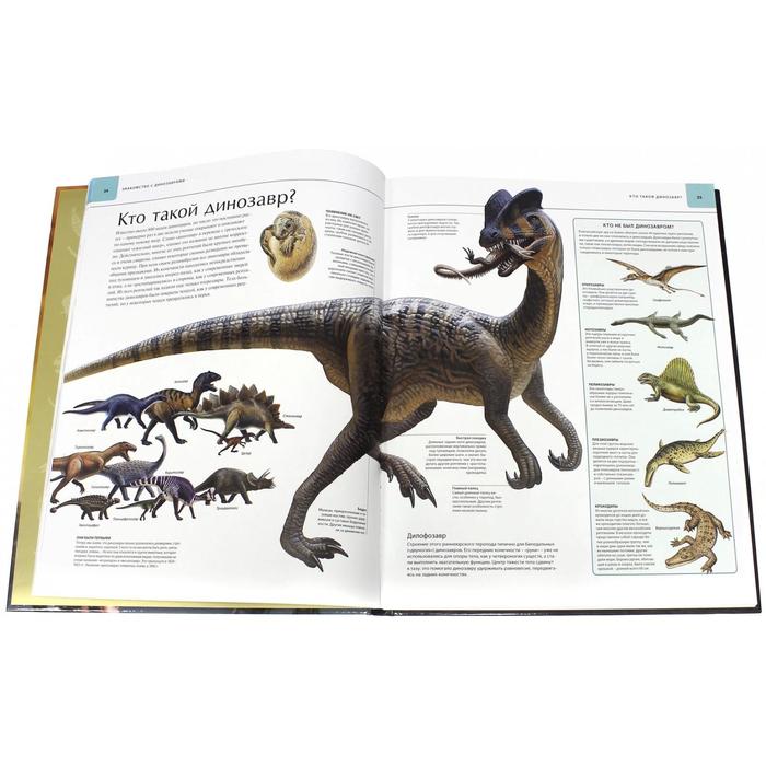 Иллюстрированный атлас. Динозавры - фото 1908374061