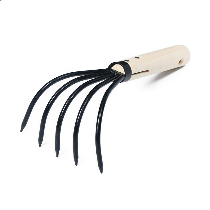 Рыхлитель, длина 23 см, 5 зубцов, деревянная ручка, Greengo - Фото 1