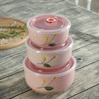 Набор салатников "Вивьен", 3 шт: 16х7,5/14,5х6,5/15,5х7,5 см, с крышками, цвет розовый - Фото 3