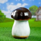 Садовая фигура "Белый гриб" 17*16*24 см - Фото 1