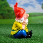 Садовая фигура из гипса «Гном спящий», 22×14×14 см - Фото 11