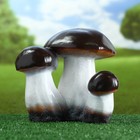 Садовая фигура из гипса «Гриб-боровик тройной», 25×23×23 см - Фото 1