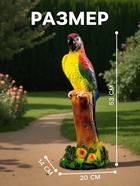 Садовая фигура из гипса «Попугай», 53×20×14 см - Фото 2