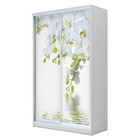 Шкаф-купе Хит-24-12-77 Белый, Орхидея - Фото 1