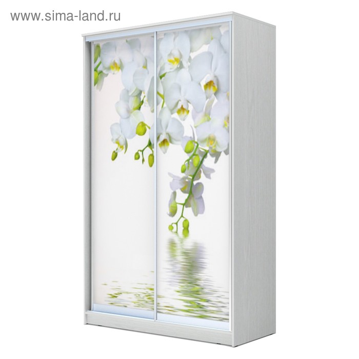Шкаф-купе Хит-24-12-77 Белый, Орхидея - Фото 1