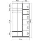 Шкаф-купе Хит-24-12-77 Белый, Орхидея - Фото 2