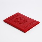 Обложка для паспорта, цвет красный - фото 8381186