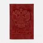 Обложка для паспорта, цвет красный - фото 8662341