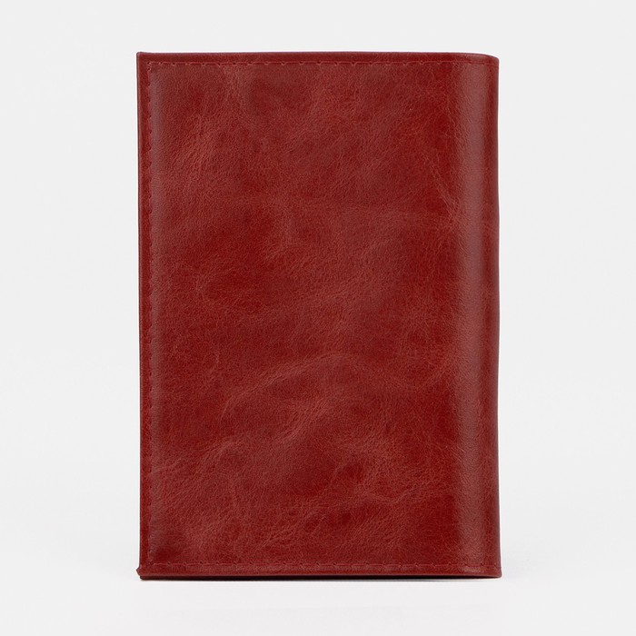 Обложка для паспорта, цвет красный - фото 1908374408