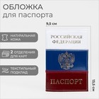 Обложка для паспорта, цвет триколор - фото 320345870