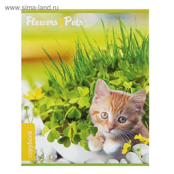 Тетрадь 12 листов клетка Flowers & Pets, обложка мелованный картон, уф-лак, микс - Фото 1