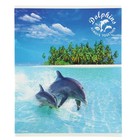 Тетрадь 48 листов клетка Dolphins Story, обложка мелованный картон, матовая ламинация, микс - Фото 1