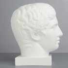 Гипсовая фигура Голова Дорифора, 21 х 29 х 35 см - фото 8652261