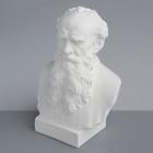 Гипсовая фигура известные люди: Бюст Толстого, 16 х 9 х 23 см - Фото 3