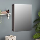 Зеркало-шкаф для ванной комнаты "Венге", 15,7 х 40 х 58 см - фото 3452095