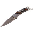 Складной нож Stinger с клипом, 165 мм, рукоять: нержавеющая сталь, дерево, подарочный бокс - фото 298020196