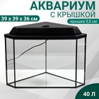 Аквариум "Дельта" угловой с крышкой, 40 литров, 39 х 39 х 36/41,5 см, чёрный - Фото 1
