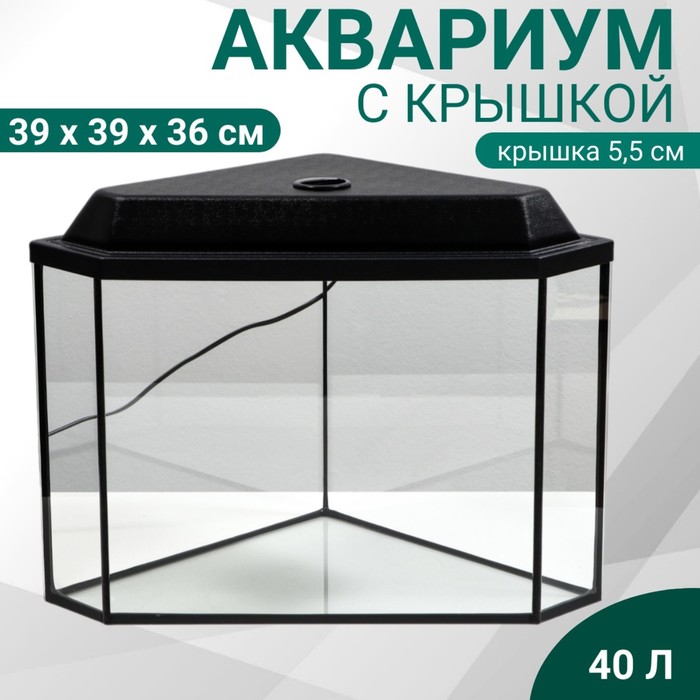 Аквариум "Дельта" угловой с крышкой, 40 литров, 39 х 39 х 36/41,5 см, чёрный - Фото 1