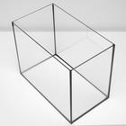 Аквариум «Прямоугольный» без крышки, 30 л, 40×23×32 см - Фото 5