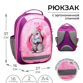 Рюкзак школьный, 37 х 27 х 16 см, эргономичная спинка, Calligrata Б "Зайка", голубой/розовый