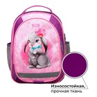 Рюкзак школьный, 37 х 27 х 16 см, эргономичная спинка, Calligrata Б "Зайка", голубой/розовый - Фото 2