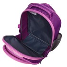 Рюкзак школьный, 37 х 27 х 16 см, эргономичная спинка, Calligrata Б "Зайка", голубой/розовый - Фото 9