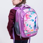 Рюкзак школьный, 37 х 27 х 16 см, эргономичная спинка, Calligrata Б "Колибри", голубой/розовый - Фото 6