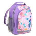 Рюкзак школьный, 37 х 27 х 16 см, эргономичная спинка, Calligrata Б "Колибри", голубой/розовый - фото 8663417