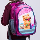 Рюкзак школьный с эргономичной спинкой, Calligrata, 37 х 27 х 16, «Мишка», розовый - Фото 12