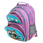 Рюкзак школьный с эргономичной спинкой, Calligrata, 36 х 23 х 13, «Енот», сиреневый/голубой - Фото 8