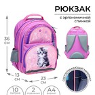 Рюкзак школьный, 36 х 23 х 13 см, эргономичная спинка, Calligrata П "Котёнок", серый/розовый - фото 10851173
