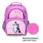 Рюкзак школьный, 36 х 23 х 13 см, эргономичная спинка, Calligrata П "Котёнок", серый/розовый - Фото 2