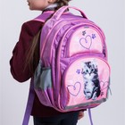 Рюкзак школьный, 36 х 23 х 13 см, эргономичная спинка, Calligrata П "Котёнок", серый/розовый - Фото 11