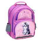 Рюкзак школьный, 36 х 23 х 13 см, эргономичная спинка, Calligrata П "Котёнок", серый/розовый - Фото 14