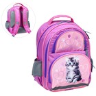 Рюкзак школьный, 36 х 23 х 13 см, эргономичная спинка, Calligrata П "Котёнок", серый/розовый - Фото 8