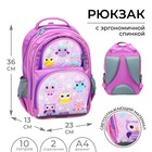 Рюкзак школьный, 36 х 23 х 13 см, эргономичная спинка, Calligrata П "Совушка", сиреневый - Фото 1