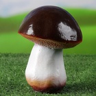 Садовая фигура из гипса «Гриб-боровик», 14×11×11 см - Фото 6