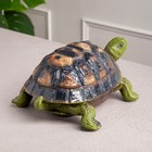Копилка "Черепаха", глянец, зелёная, гипс, 31 см - Фото 3
