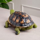 Копилка "Черепаха", глянец, зелёная, гипс, 31 см - Фото 4