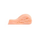 Мастурбатор реалистичный XISE, вагина+анус, TPR, цвет телесный, 24 см - Фото 9