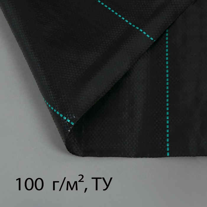 Агроткань застилочная, с разметкой, 10 × 2,5 м, плотность 100 г/м², полипропилен, чёрная - Фото 1