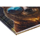 Дневник школьный для 5-11 классов, «Медведь в очках», твёрдая обложка 7БЦ, глянцевая ламинация, 48 листов - Фото 3