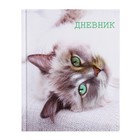 Дневник для 5-11 классов, "Кошка", твердая обложка 7БЦ, глянцевая ламинация, 48 листов - Фото 1
