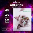 Дневник для 5-11 классов, "Кошка", твердая обложка 7БЦ, глянцевая ламинация, 48 листов - Фото 1