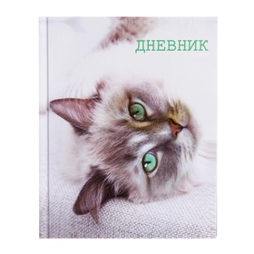 Дневник для 5-11 классов, "Кошка", твердая обложка 7БЦ, глянцевая ламинация, 48 листов 2967475