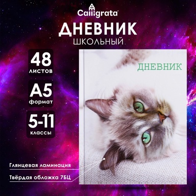 Дневник для 5-11 классов, "Кошка", твердая обложка 7БЦ, глянцевая ламинация, 48 листов