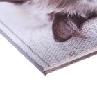 Дневник для 5-11 классов, "Кошка", твердая обложка 7БЦ, глянцевая ламинация, 48 листов - Фото 3